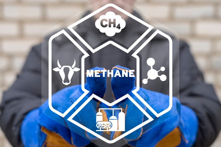 WBA Summit: Methane action plan