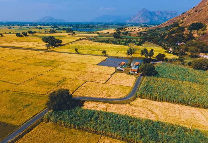 Capitalising on India’s bioenergy potential