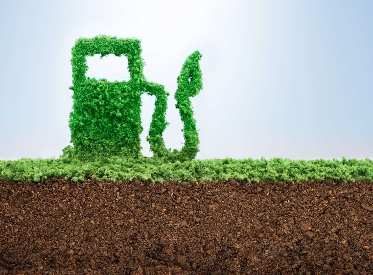 LNG/bio-LNG in the clean energies transition