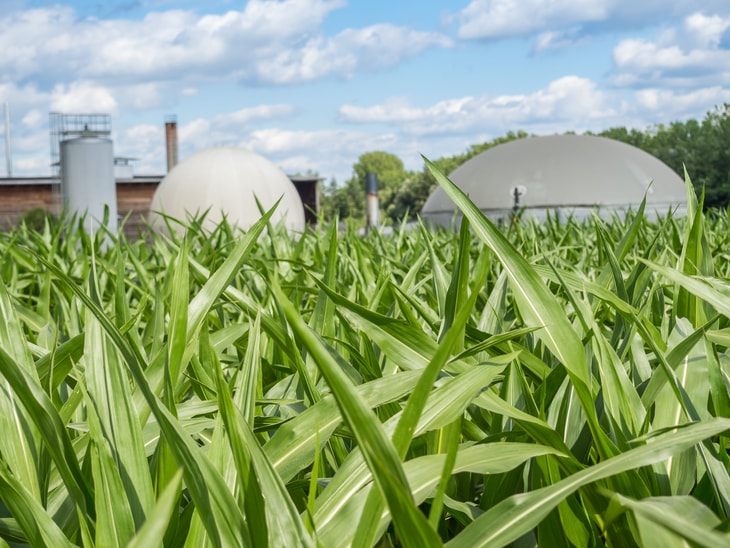 WELTEC starts up new biogas plant in Japan