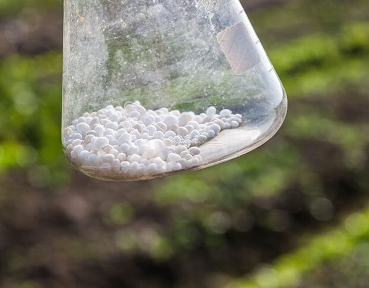 BASF becomes latest to curtail fertiliser production