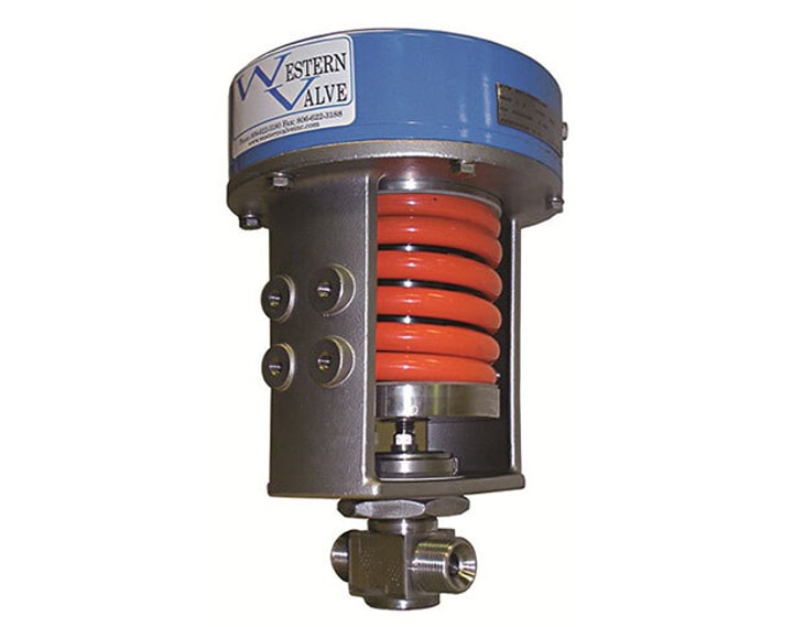 Western Valve develops new offering