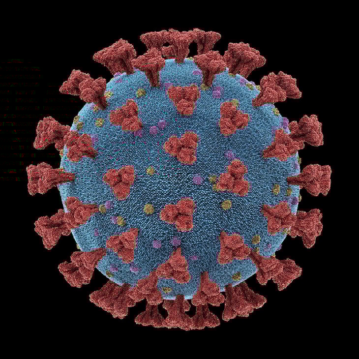 CGA advice on coronavirus