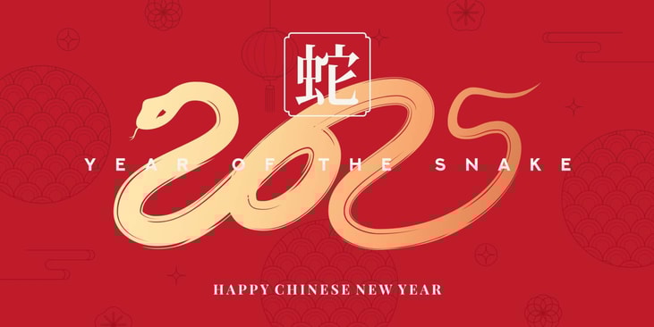 Supply chain and demand issues greet Chinese New Year