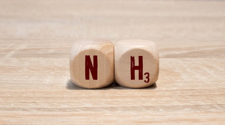 German partners to demo ammonia cracker covering imports to hydrogen