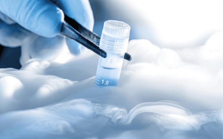Cold chains in life sciences