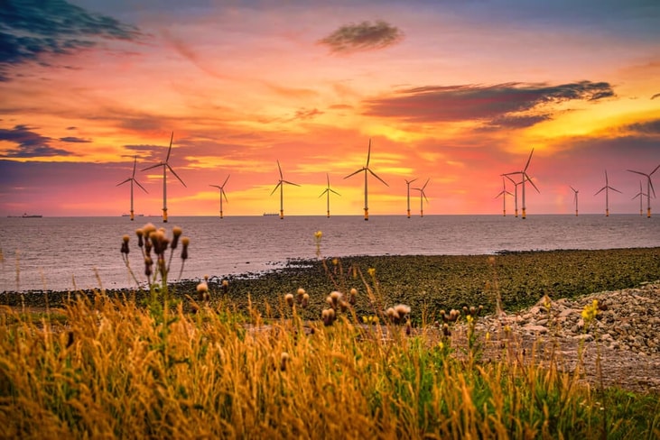 Energy firms join forces to develop offshore UK green hydrogen production