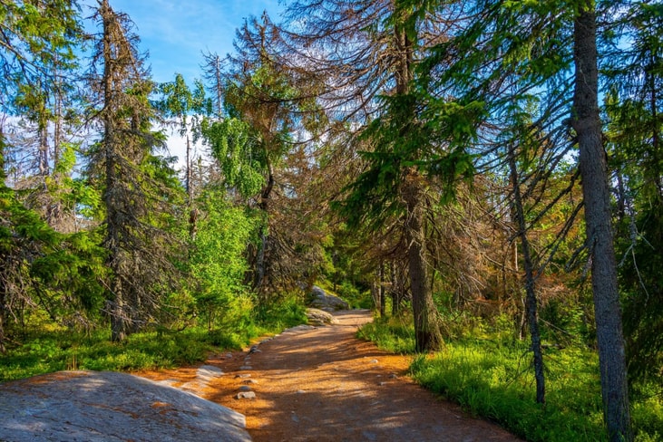 Why there are still stories to be found at the foothills of the US CO2 market