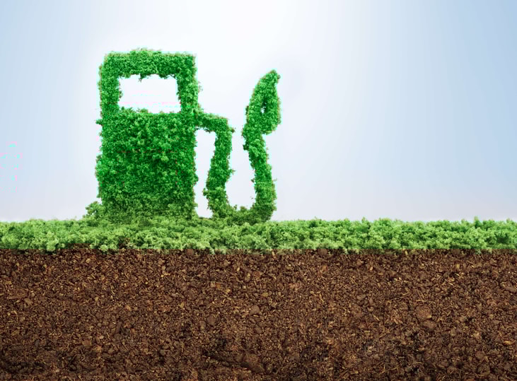LNG/bio-LNG in the clean energies transition